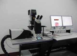 激光共聚焦显微镜
